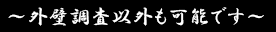 ～外壁調査以外も可能です～